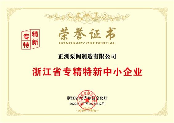 浙江省專精特新中小企業(yè)榮譽(yù)證書(shū)